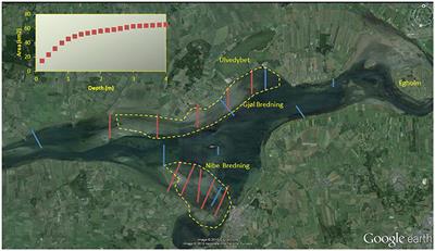 Long-term Patterns of Eelgrass (Zostera marina) Occurrence and Associated Herbivorous Waterbirds in a Danish Coastal Inlet